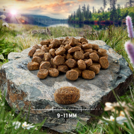 Purizon Adult Ryba, bez zbóż (400g)